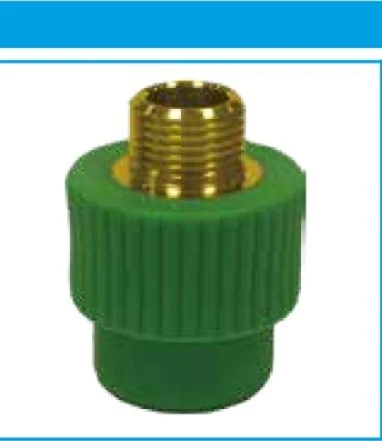 PPR - MALE Adaptor 25X3/4"