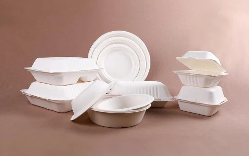 Bagasse Tableware 