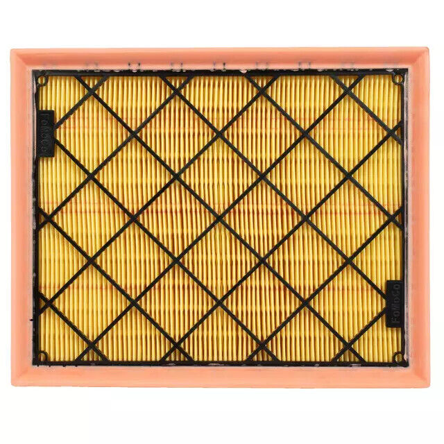 Ford-Peugeot Air Filter-Fdf77Z9601