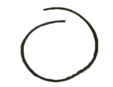 Honda Rubber,Fr Wshld D-73125-Sza-A00