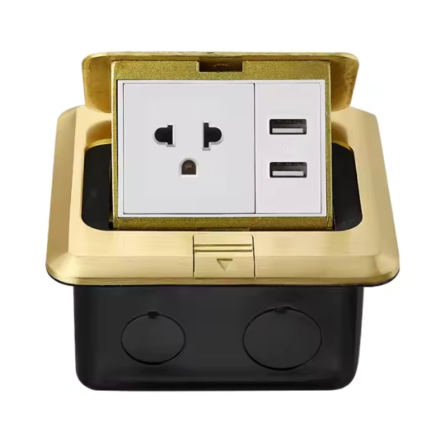 American Standard Ground Plug with Dual USB