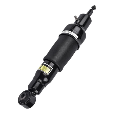 Nissan-Renault-Infiniti Absorber Shock-E6211-1Lb7A