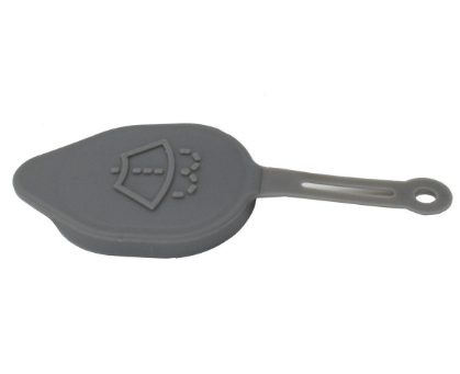 Nissan-Renault-Infiniti Cap-28913-Jk60A