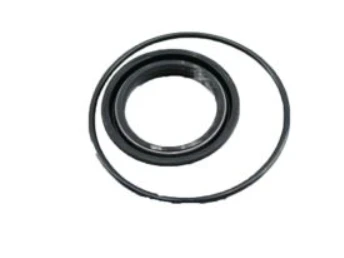 Nissan-Renault-Infiniti Seal Kit-49365-10V26