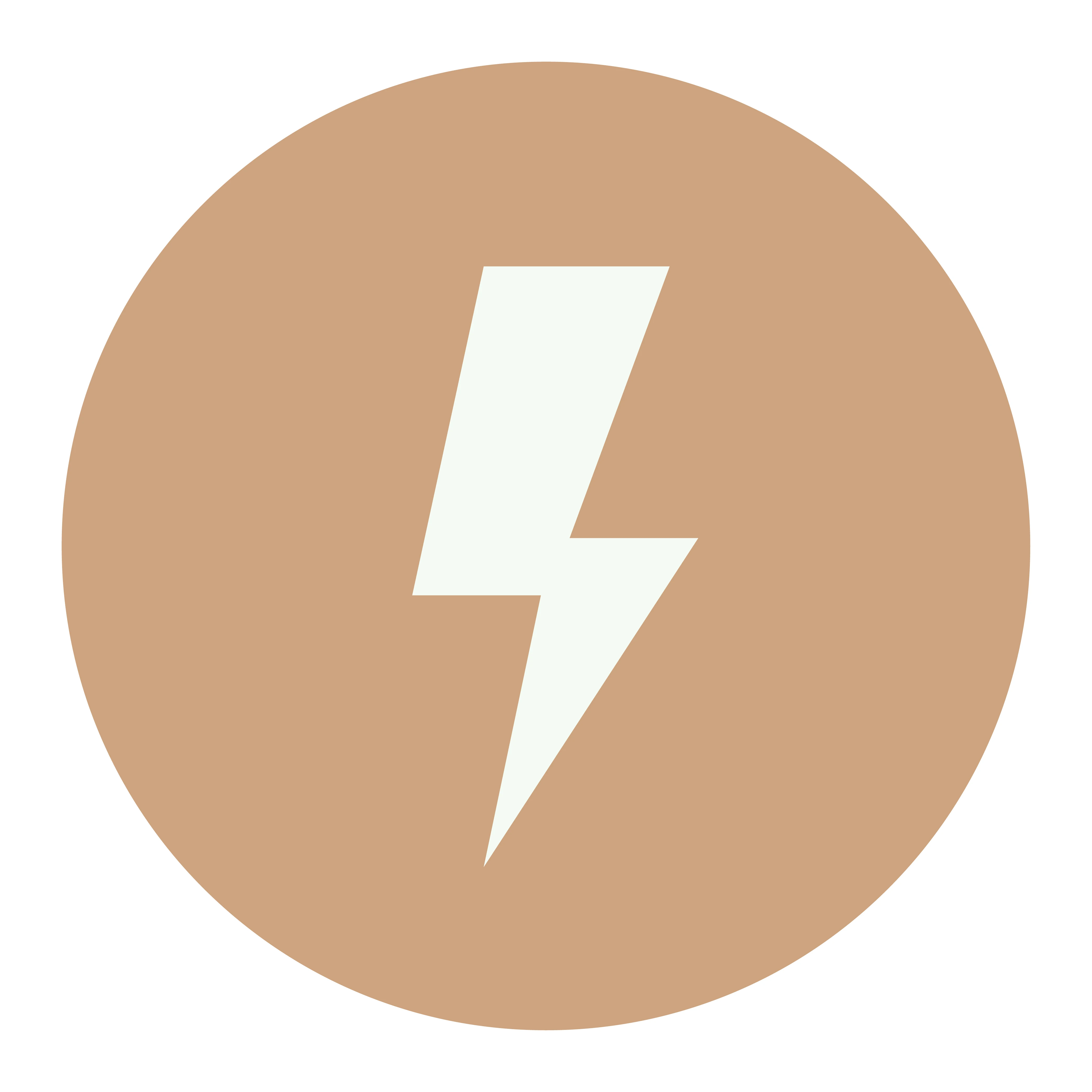 2X Faster processing icon